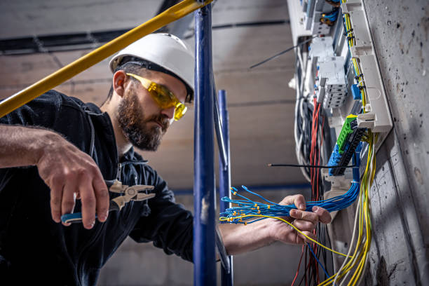 Best Electrical Repair Services  in Rosenhayn, NJ