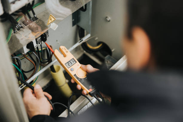 Best Electric Panel Repair  in Rosenhayn, NJ