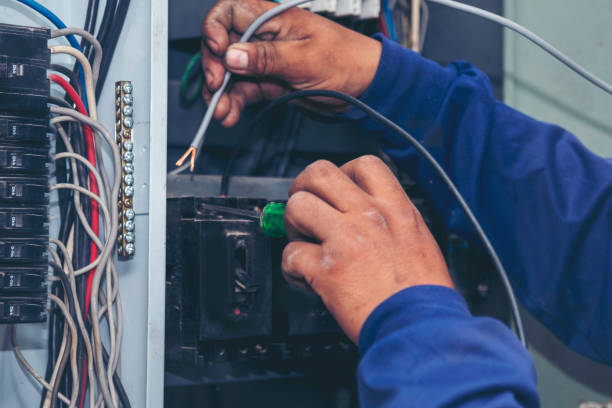 Best Licensed Electrician  in Rosenhayn, NJ